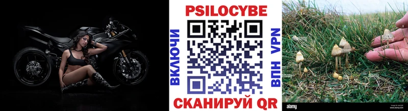 Галлюциногенные грибы Magic Shrooms купить Черкесск